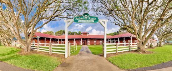 Paniolo Heritage Center