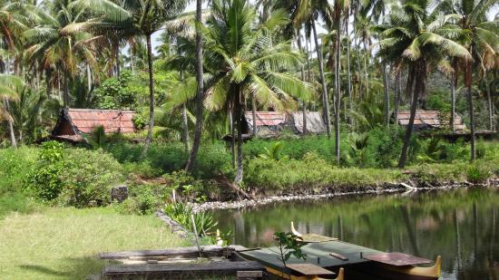 Robert's Hawaii