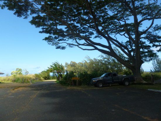 Kamehameha Park Golf