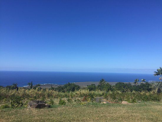 Pele Plantations