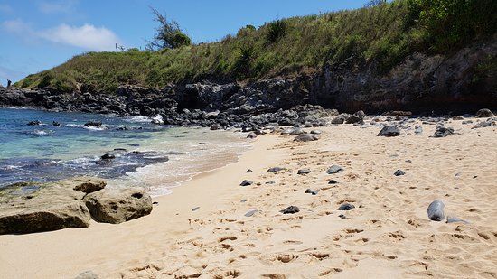 Lower Paia Park