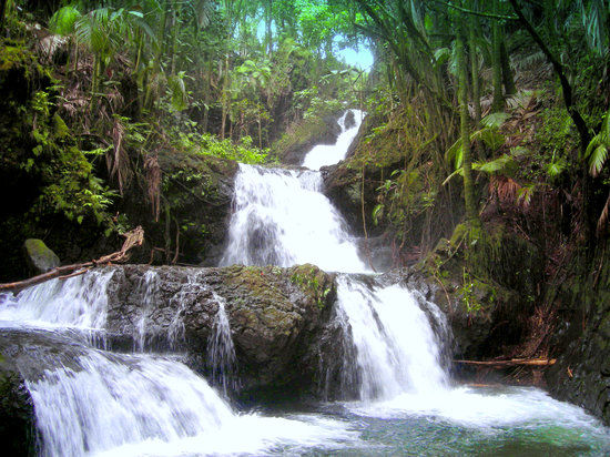 Hawaii Tropical Botanical Garden