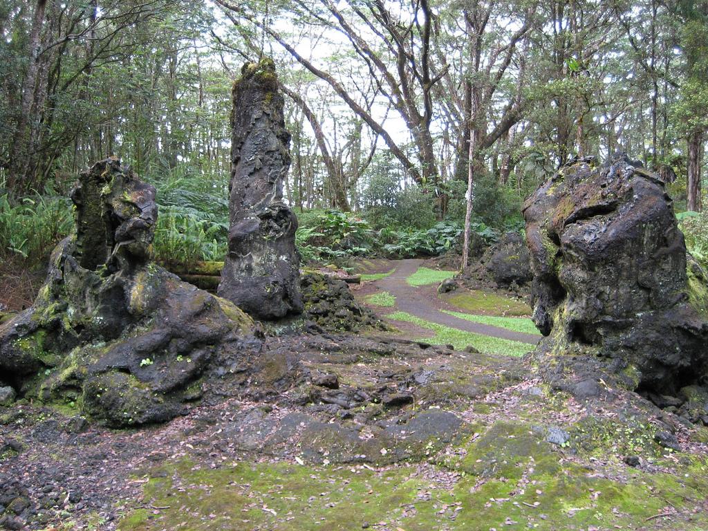 Lava Tree State Monument