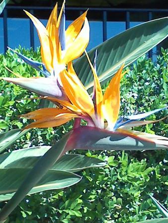Makaha Resort & Golf Club
