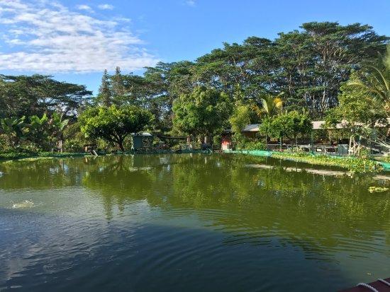 Hobby Garden Hawaii