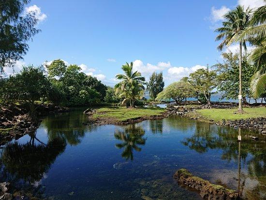 Keaukaha Beach Park