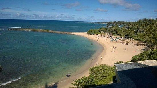 Kuilima Cove Snorkeling