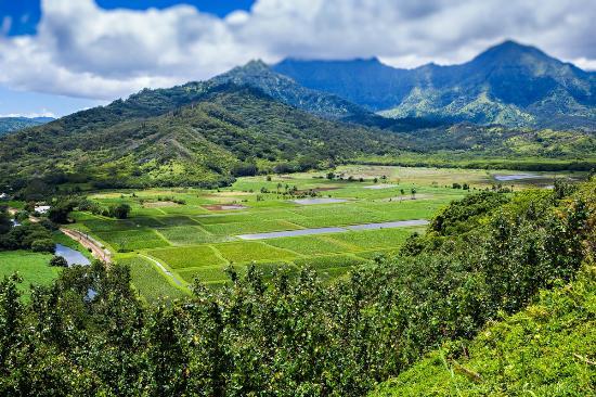 Hanalei Valley Lookout