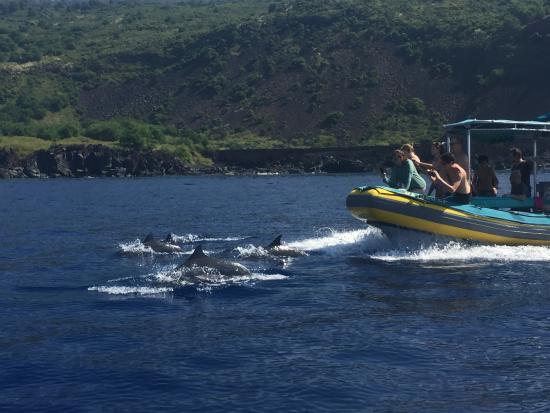 Sea Quest Snorkel Tours
