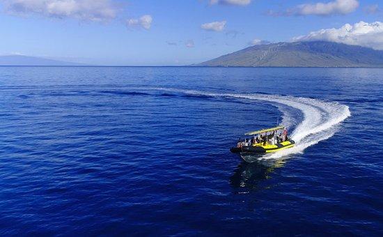 Maui Snorkel Charters