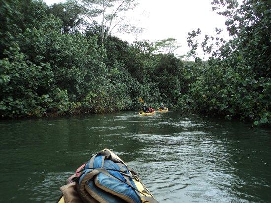 Duke's Kayak Adventures