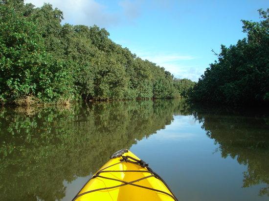 Kayak Kaua'i
