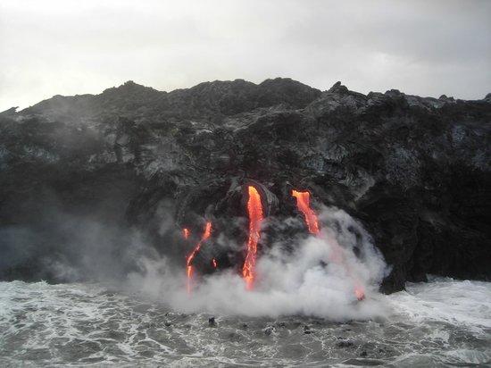 Captain Gene's Lava Boat Tours