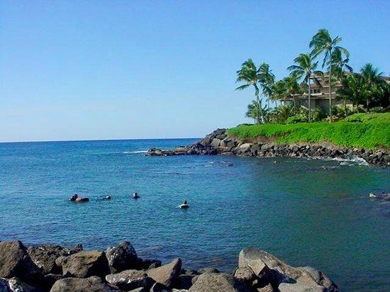 Scuba Steve's Scuba Shack