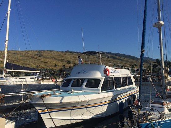 Maui Boat Trips