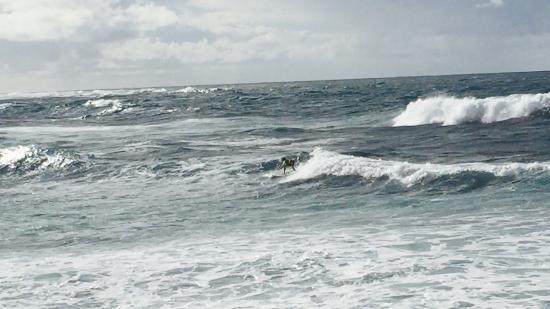 Hans Hedemann Surf School