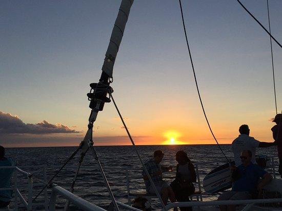 Ocean Sports Cruises