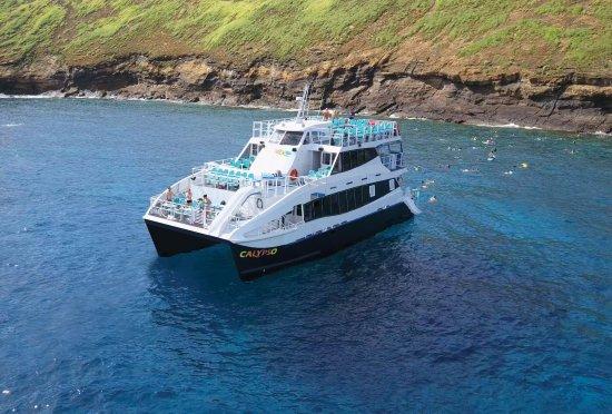 Calypso Cruises