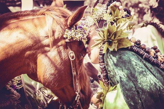 No Ka Oi Horsemanship