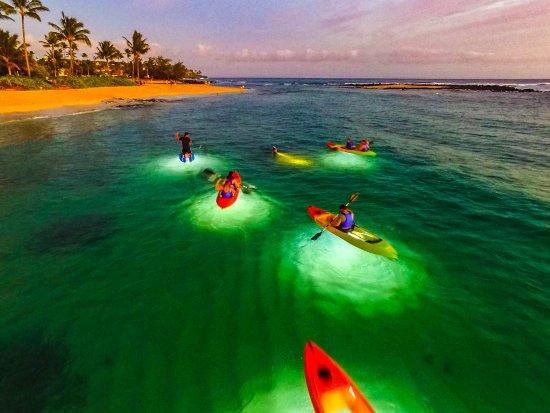 Moonlight Glass Bottom Kayak Tours