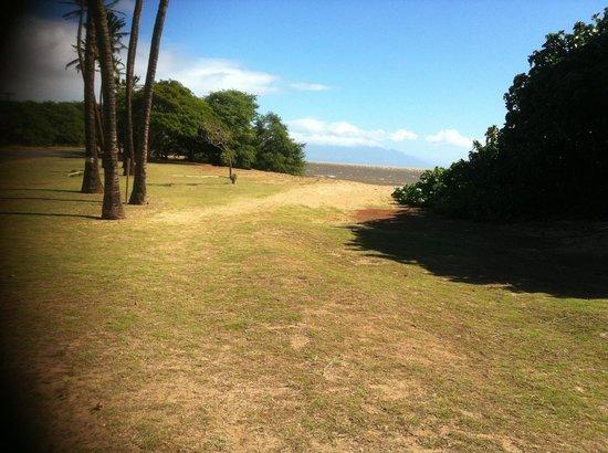 Kakahaia Beach Park