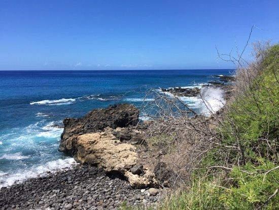Ka'ena Point Trail