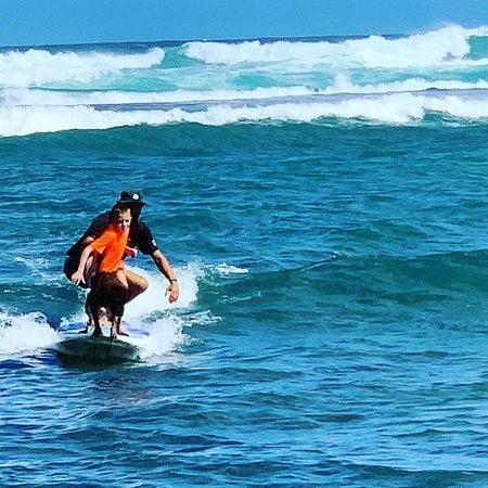 Hawaii Surf Dogs