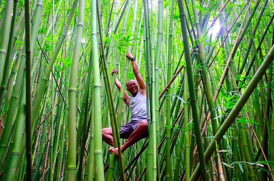 Maui Aloha Adventures