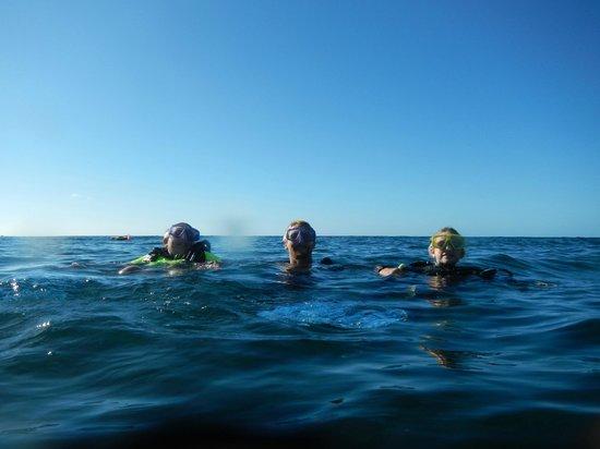 Aloha Kai Divers