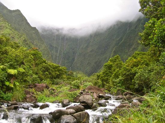 Quantum Aloha Adventures