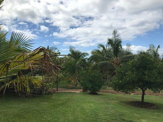 Punakea Palms Coconut Farm