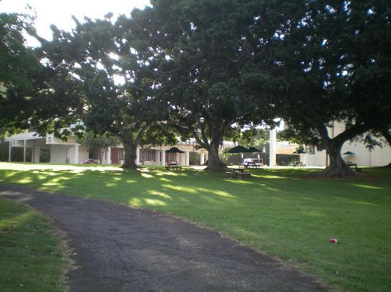 University of Hawaii at Manoa Campus