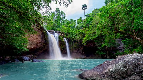 The Kings Gardens Maui