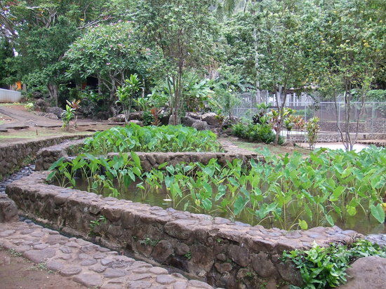 Kepaniwai Park & Heritage Gardens