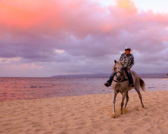 Hawaii Polo Club