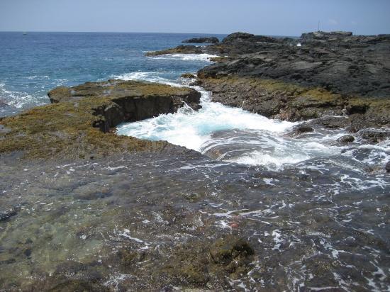 Kealakekua Bay Marine Preserve