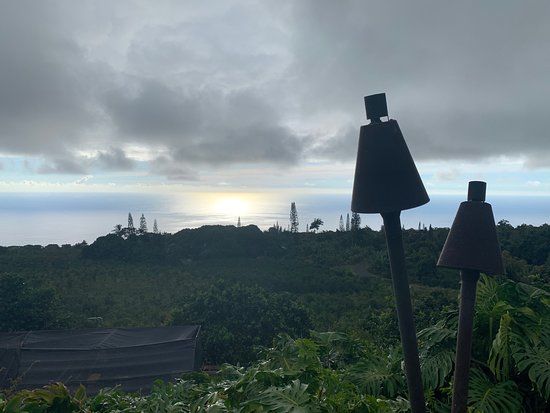 Heavenly Hawaiian