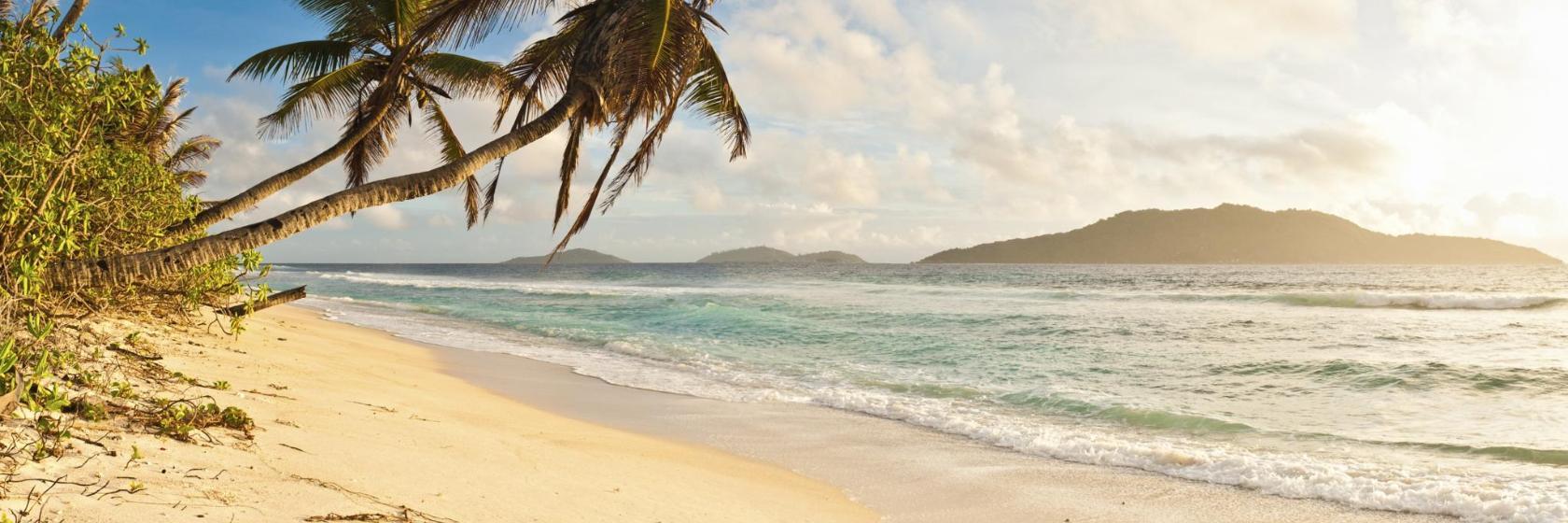 White Sand Beach