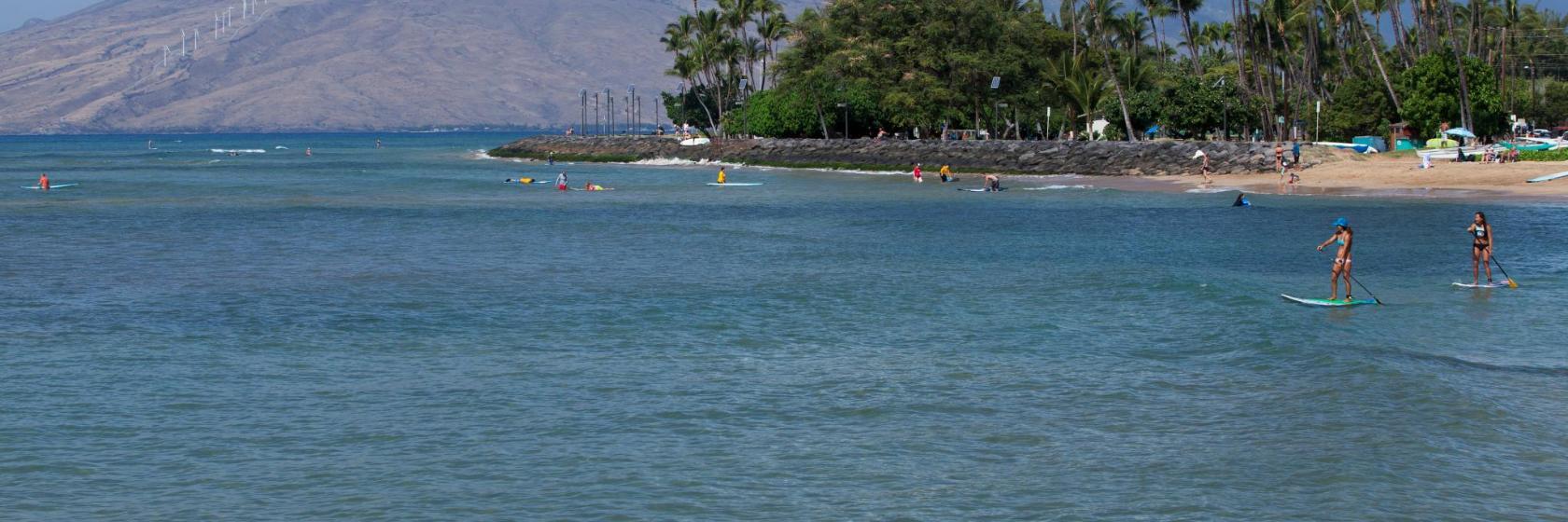 Cove Park