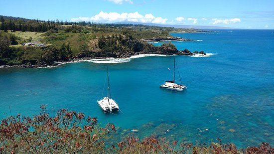 Honolua Bay